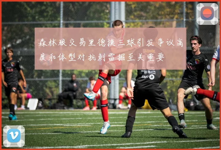 森林狼交易里德换三球引发争议高度和体型对抗刺雷掘至关重要